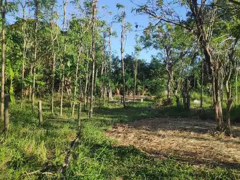 Dijual tanah kavling berlokasi di Jimbaran Bawah - Bali in Bali