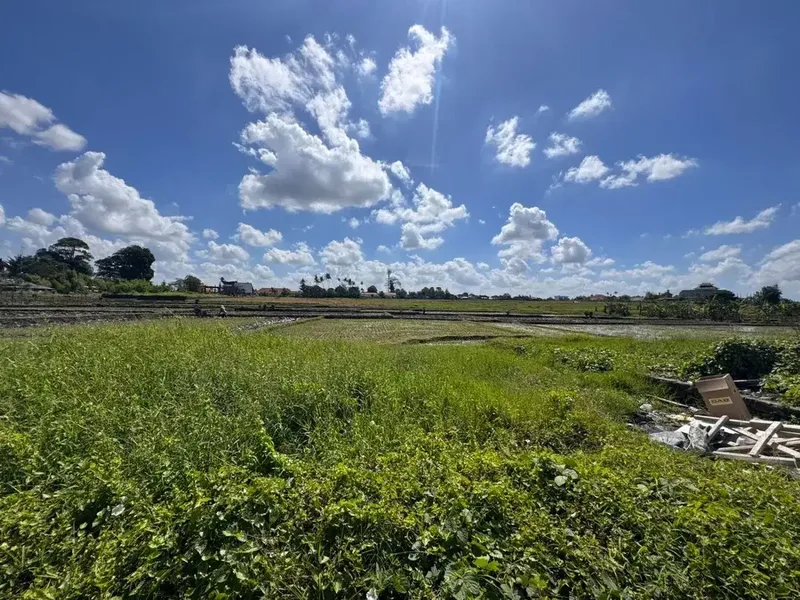 HOT DEAL TANAH CEMAGI – INVESTASI PREMIUM BALI - Real Estate in Bali