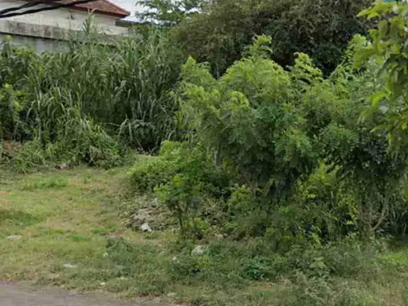 disewakan tanah 12 are IDR 35 juta /are /tahun jln utama Uluwatu Pecatu - Real Estate in Bali