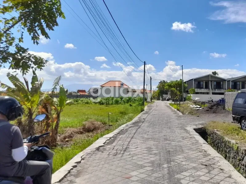 TANAH VIEW SAWAH DI CANGGU BADUNG, BALI - Real Estate in Bali