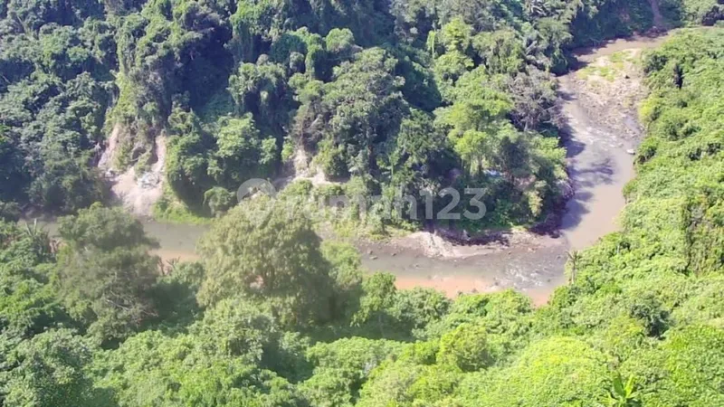 Dijual Tanpa Perantara Dekat Ubud Pinggir Jalan Sampai Sungai Luas 1 Ha, Cocok untuk Villa/Hotel - Real Estate in Bali