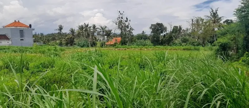 Tanah Murah Permata Pering Blahbatuh Gianyar Dekat Pantai Saba Ketewel - Bali in Bali