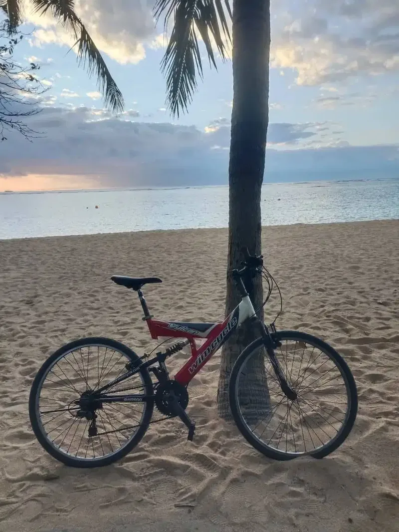 JUAL SEPEDA WIMCYCLE VULCAN - Vehicles in Bali