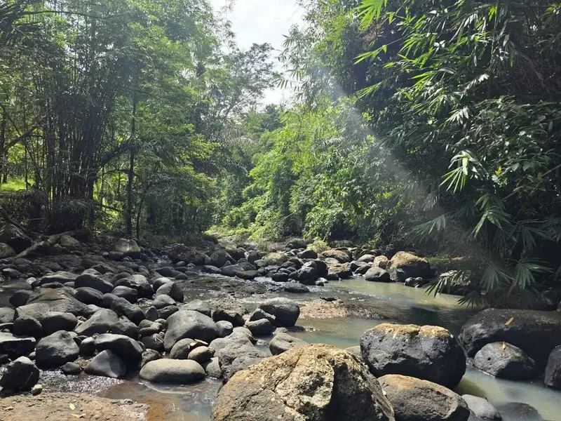 DIjual tanah dengan sungai bebatuan sangat cantik di tabanan bali - Real Estate in Bali