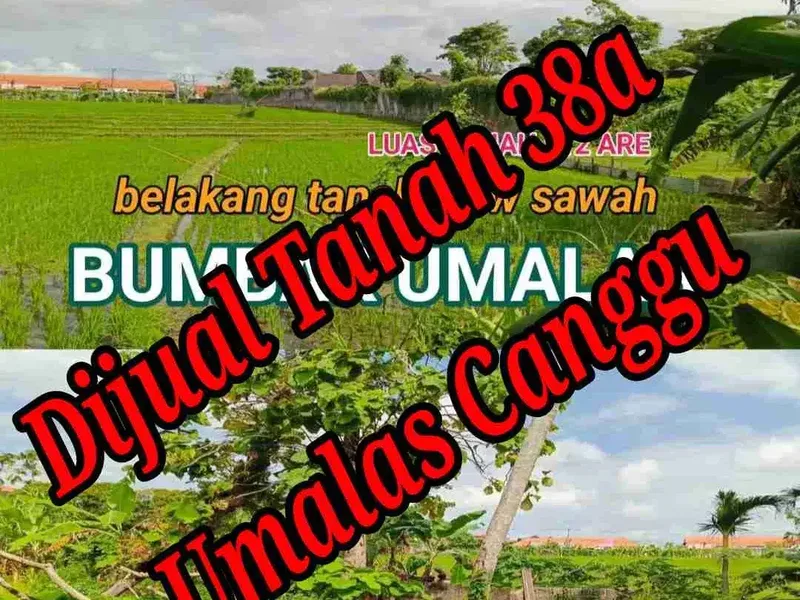 Dijual Tanah 38a Lokasi di Umalas Canggu Bali - Bali in Bali