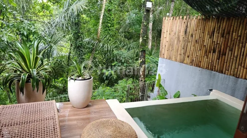 Villa 5 Unit Desain Bambu Modern Siap Huni View Sawah Jungle Ubud - Real Estate in Bali