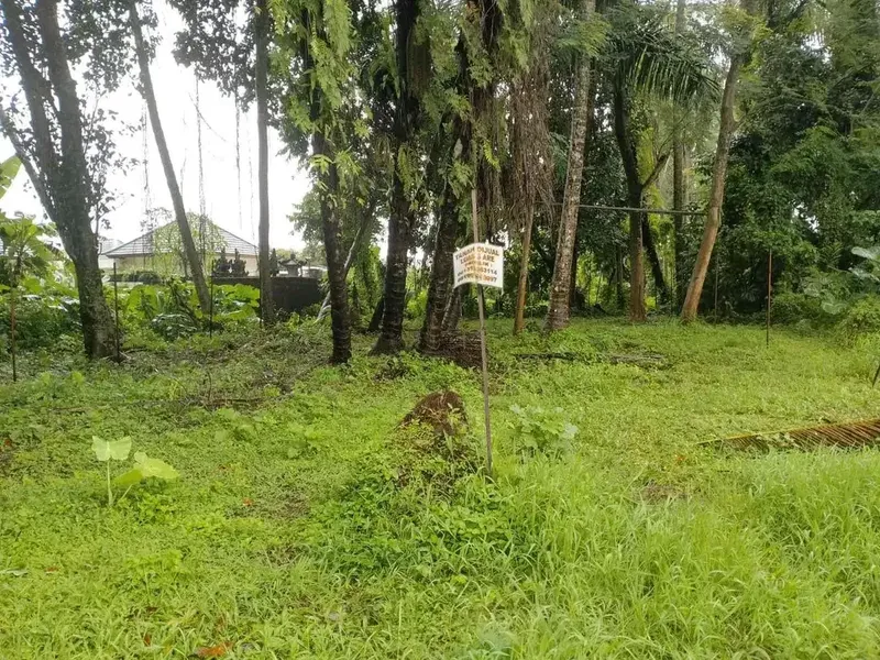 Tanah di Singakerta, Ubud, Bali!
Lokasi: setelah jembatan Nyuh Kuning, Ubud - Real Estate in Bali
