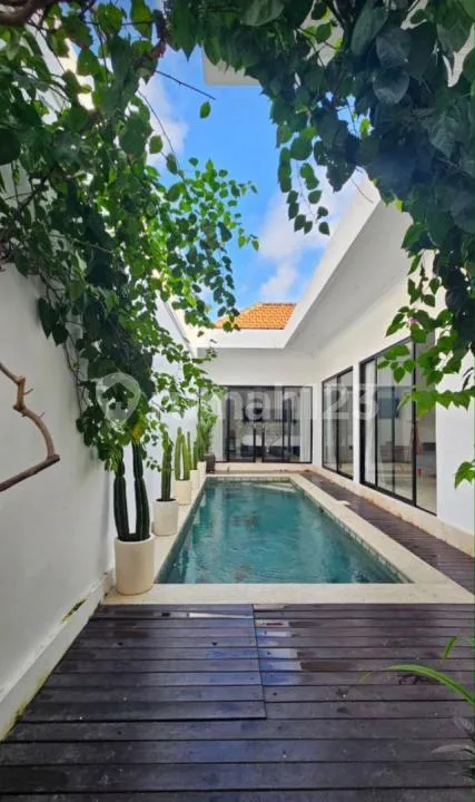 Yearly Rent Villa Furnished In Padonan Close To Canggu - Real Estate in Bali