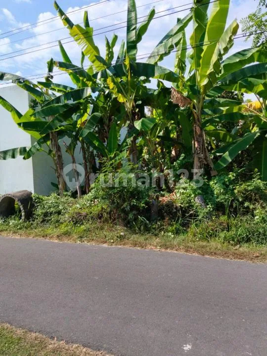 Tanah Strategis Pinggir Jalan Dekat Pantai Lovina Singaraja - Real Estate in Bali