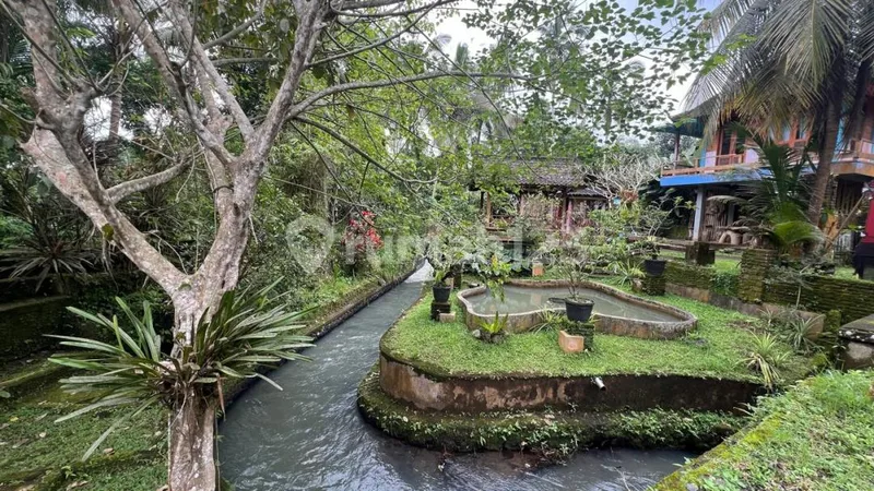 Jual Tanah Dan Rumah Murah Di Tabanan Bali - Bali in Bali