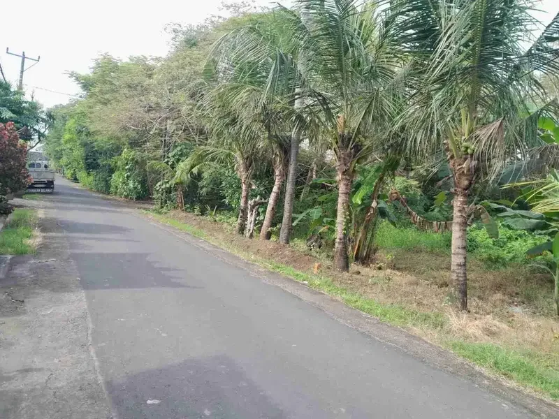Tanah 195m2 di kaba- kaba Lingk Villa - Bali in Bali