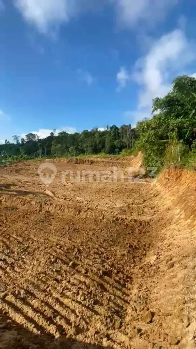 Tanah Zona Kuning Munduk Gobleg Bedugul #6846 - Bali in Bali