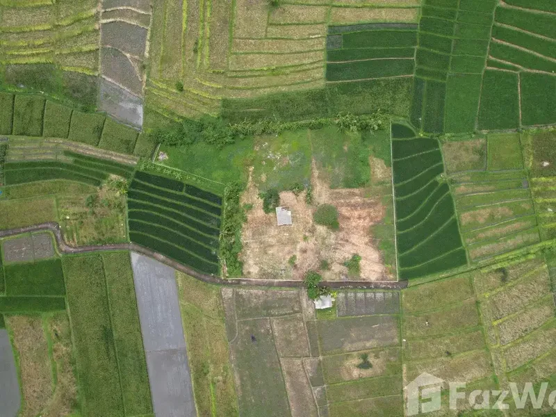 Land for sale in Kediri, Bali - Real Estate in Bali