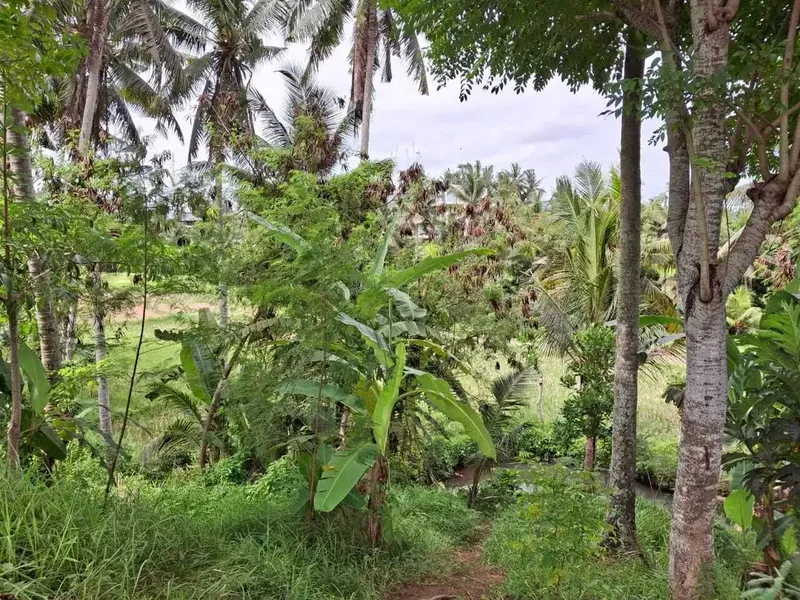 Dijual Tanah 23 are di daerah ubud - Real Estate in Bali