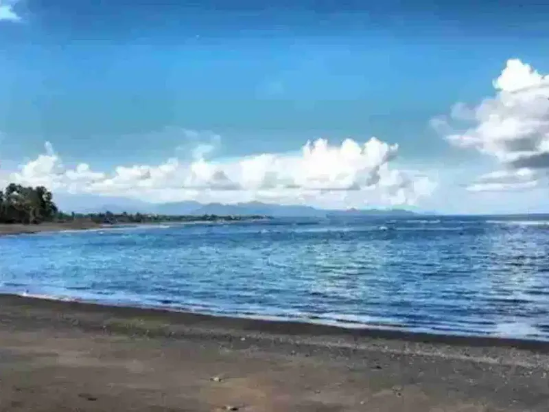 Tanah Premium Pantai Saba Gianyar - Real Estate in Bali