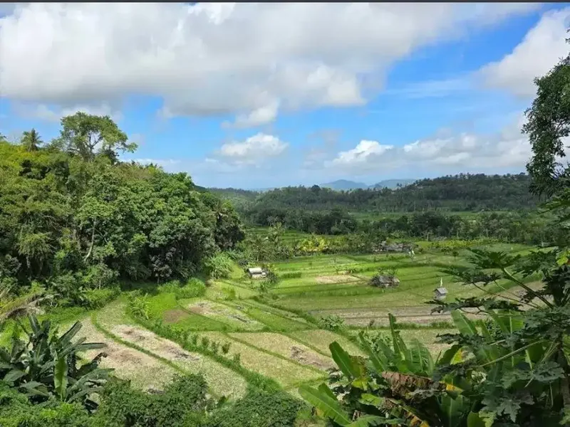 Land leasehold 1ha riceview Tirtagangga ababi karangasem - Bali in Bali