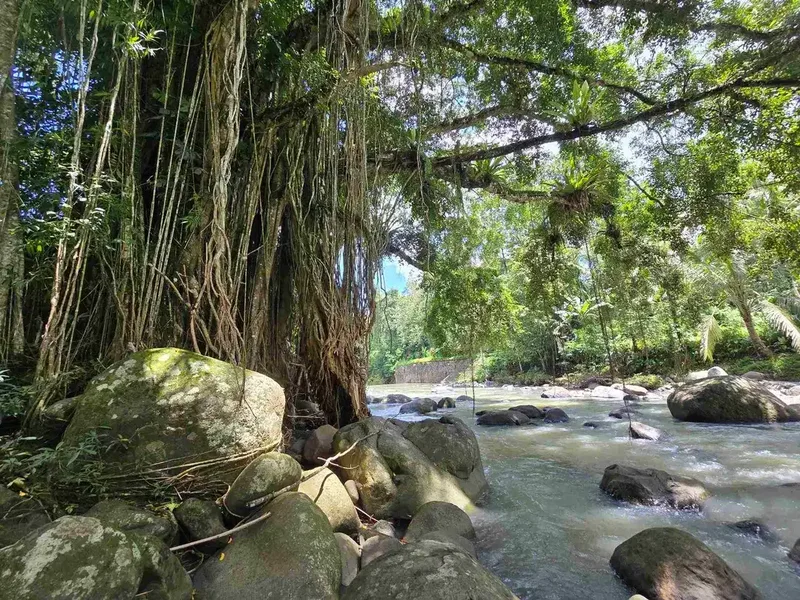Dijual tanah murah los sungai di tabanan bali - Bali in Bali
