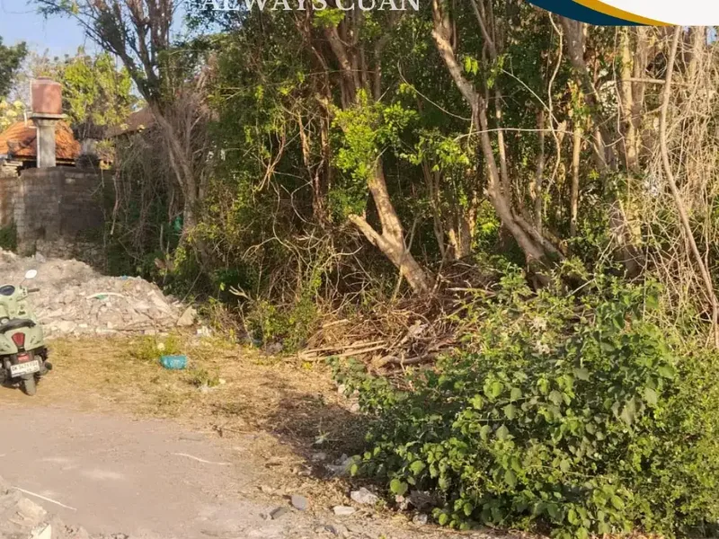 For Sale Tanah Jimbaran Bawah, Datar dan Siap Bangun - Real Estate in Bali