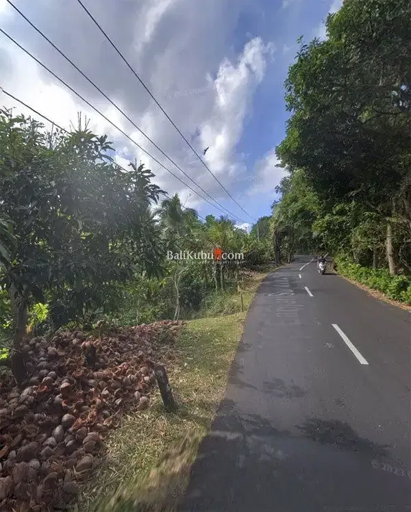 [AMS-015.KWN] Jual Tanah Kebun 1 Ha di Jl Surabrata Selemadeg Tabanan - Real Estate in Bali