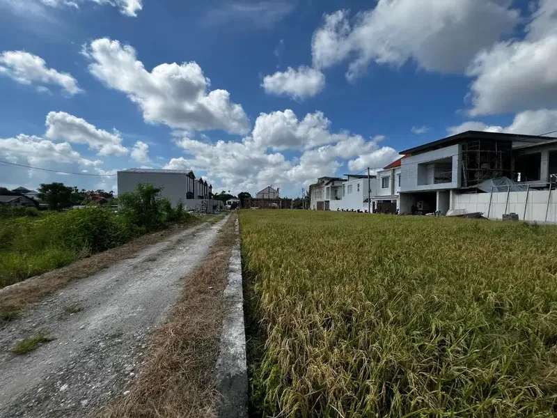 Tanah Kedampang Denpasar Bali - Real Estate in Bali