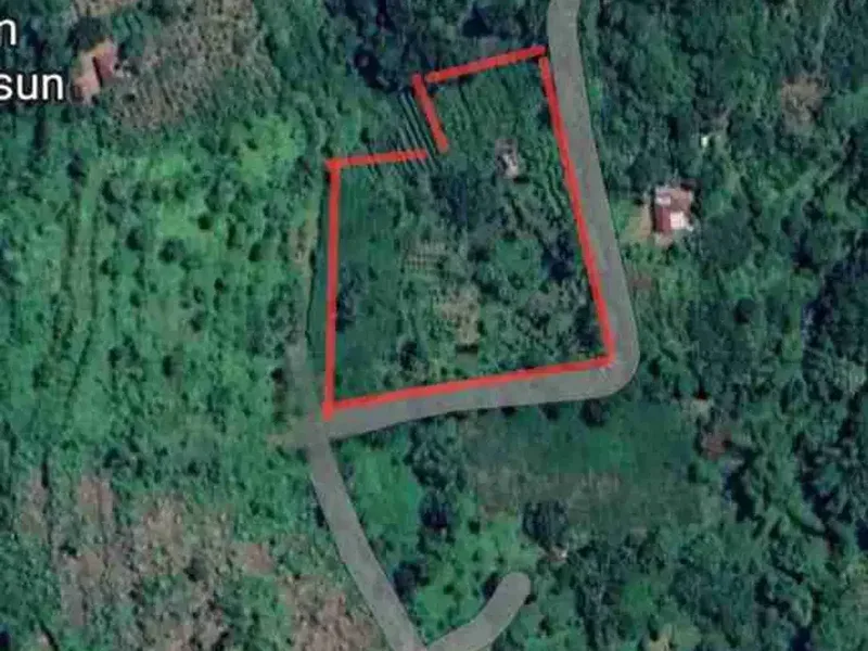 kebun durian datar cocok buat segala jenis tanaman dan murah dibawah pasaran - Real Estate in Bali