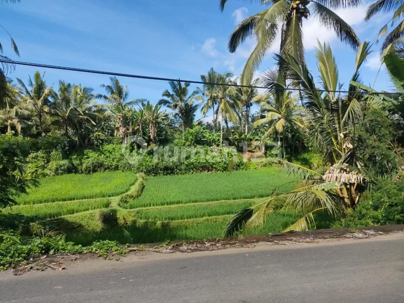 Dijual Tanah di Area Pakudui Tegalalang - Real Estate in Bali
