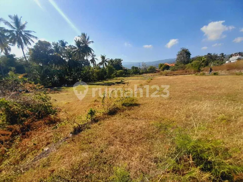 For Sale Tanah View Gunung Close To Central Lovina - Real Estate in Bali