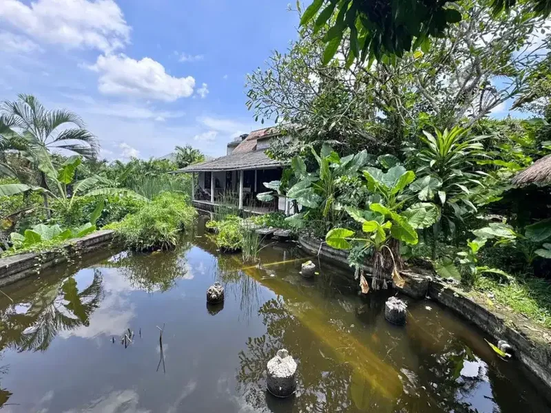 Freehold, Dijual Villa Jungle Need Renovation - Berlokasi di Pegending, Canggu - Bali in Bali