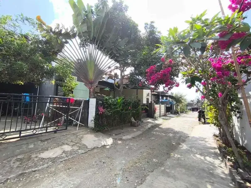 Rumah MURAH Strategis di Ungasan - Real Estate in Bali
