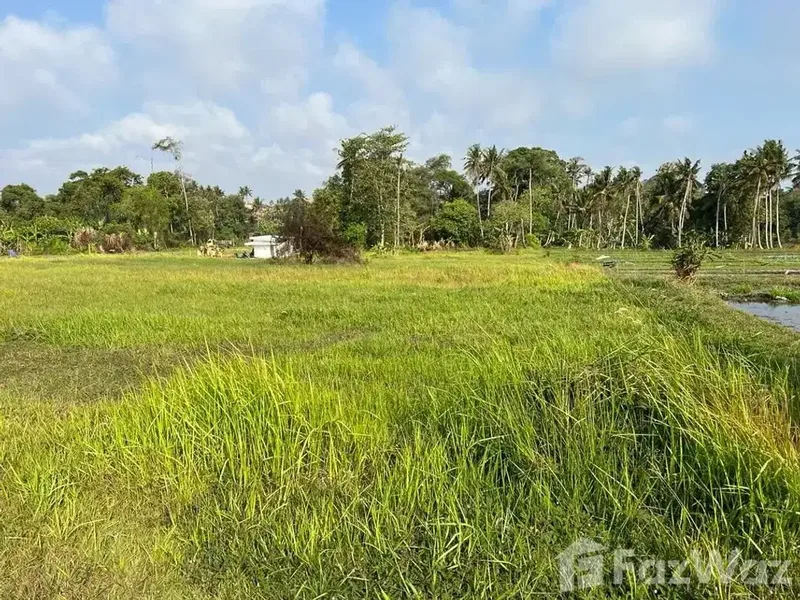 Land for sale in Nyanyi, Bali - Real Estate in Bali