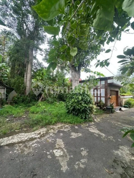 Tanah Bagus Sangat Langka Cocok di Bangun Villa atau Investasi Lainnya - Bali in Bali