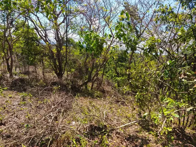 disewakan tanah 39.140m² /3,91 HEKTAR ocean view dekat Nirmala Pecatu Kuta Selatan Badung Bali - Real Estate in Bali