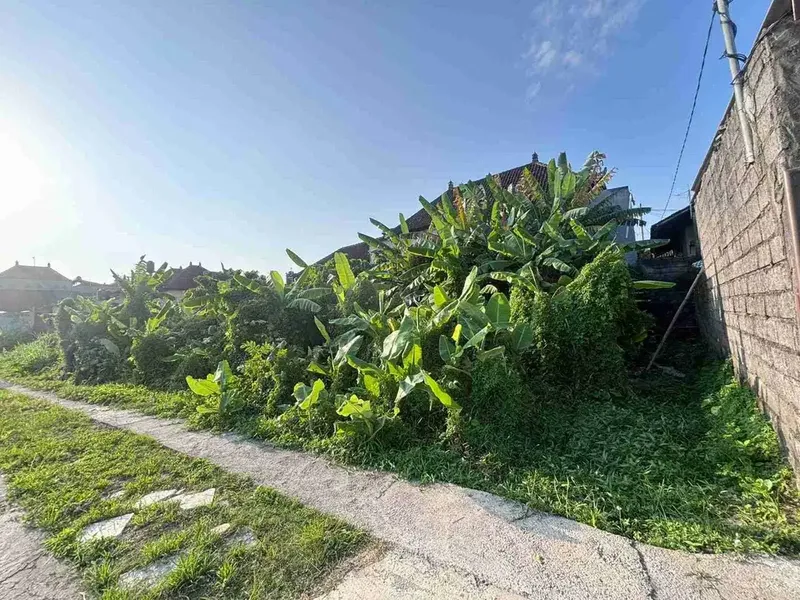 dijual Tanah Plot kecil sangat langka dengan view sawah di Ketewel, Sukawati. - Real Estate in Bali