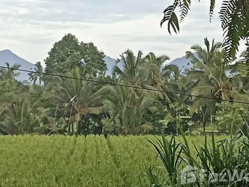 Land for sale in Ubud, Bali - Bali in Bali