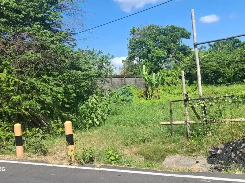 PRIME LAND FOR SALE – BELONG, SEMINYAK - Bali in Bali