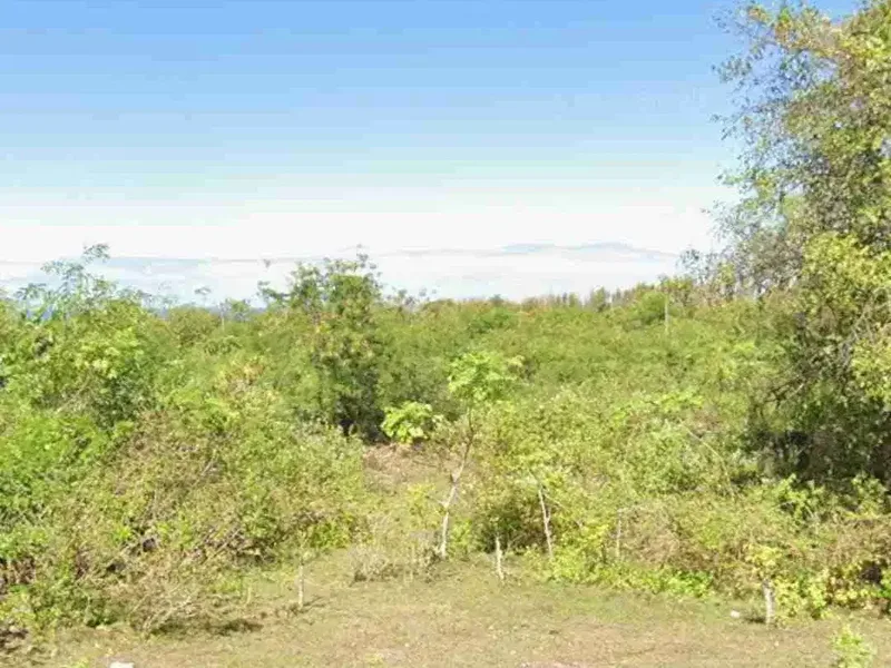 tanah langka sangat cocok di bangun komplex villa - Real Estate in Bali