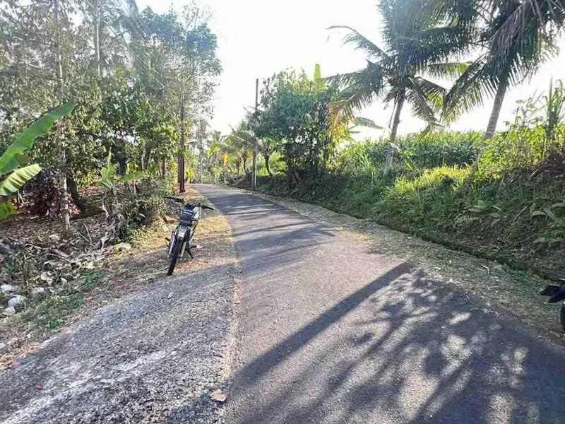 jual tanah kebun view bagus fi tabanan bali. - Real Estate in Bali