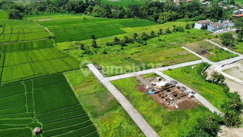Tanah Canggu Pererenan Nuanu Kedungu - Real Estate in Bali