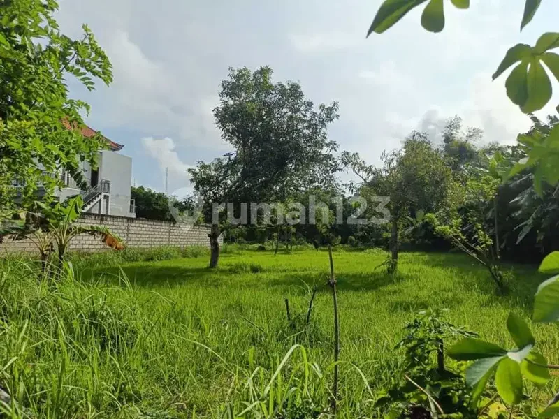 Dijual Tanah Sangat Langka Cocok untuk Kavling Komplek Villa - Real Estate in Bali