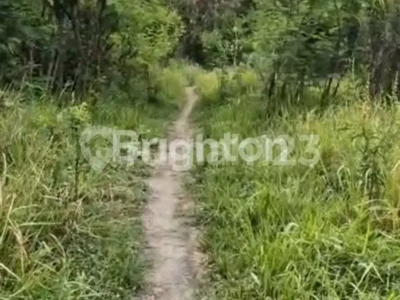 Tanah Luas 260 Are - Jalan Ida Bagus Mantra, Klungkung Lokasi Strategis Seberang Rs Graha Medika Klungkung Bali Cocok untuk Resort /Perumahan - Real Estate in Bali