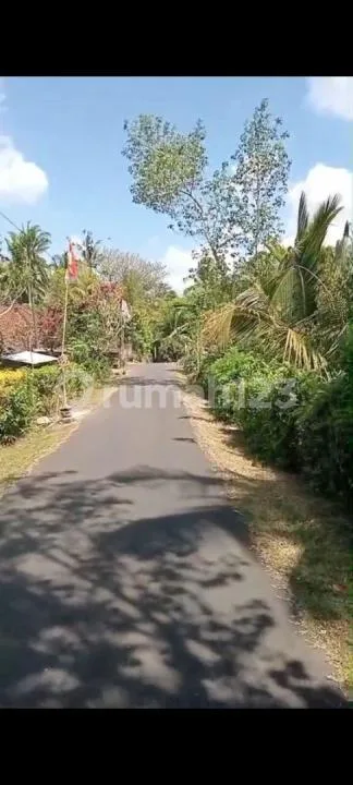 Jual Tanah Kebun Durian Murah di Tabanan - Real Estate in Bali