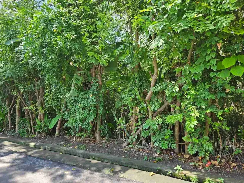 Tanah premium plot kecil langka sangat cocok untuk usaha resto, gym, villa dll - Real Estate in Bali