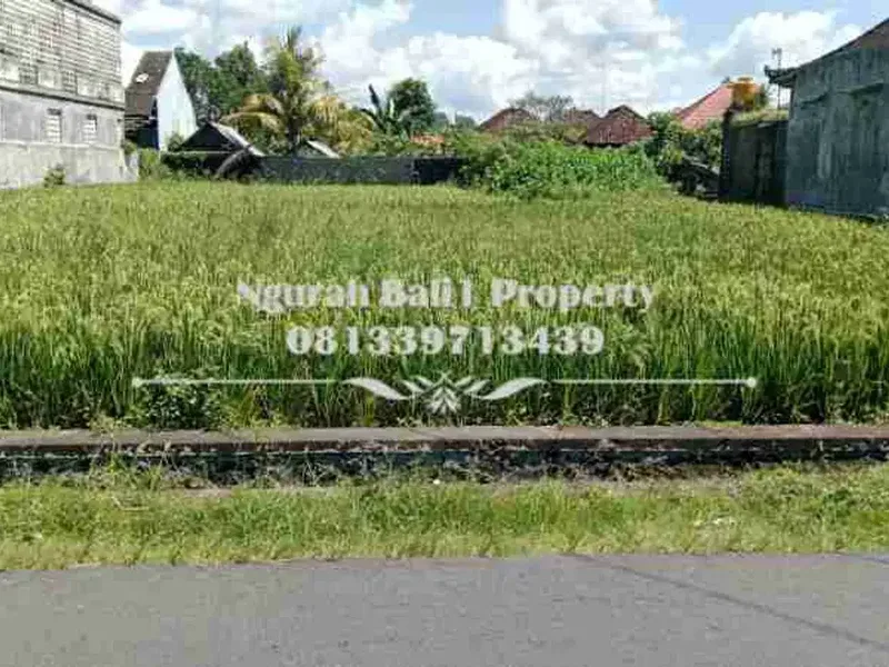 Tanah Dijual Murah Luas 9 Are Lokasi Singapadu Kaler Ubud - Bali in Bali