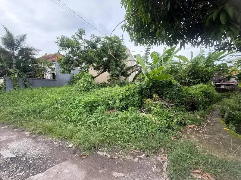 Tanah 2are Di Drupadi Munggu Dekat Pantai Pererenan Seseh Tanah Lot Canggu - Real Estate in Bali