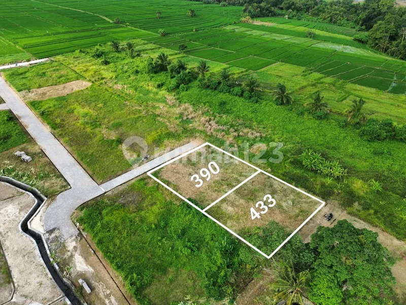 Tanah Kedungu Nyanyi Cemagi Seseh Siap Bangun - Bali in Bali