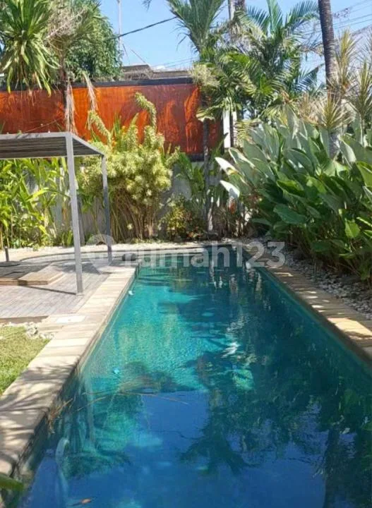 Spacious 3Br Villa With Huge Tropical Garden & Private Pool - Sanur Bali - Real Estate in Bali