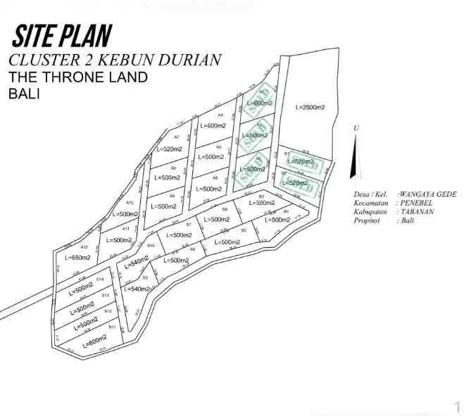 Tanah kavling murah kebun durian penebel Tabanan - Real Estate in Bali