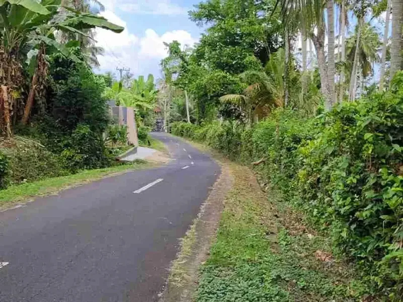 jual tanah murah ,di tabanan.pinggir jln aspal .luas 8500m2 (85 are). harga 50 jt/ are/100m2 - Bali in Bali