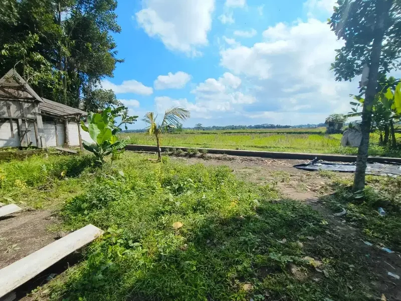 Tanah View Sawah 1000m2 Dekat Ubud Sentral - Bali in Bali