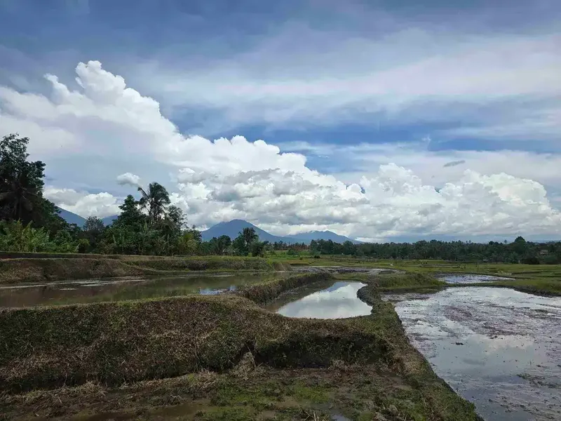 Dijual tanah murah view gunung sawah dan laut di tabanan bali - Real Estate in Bali
